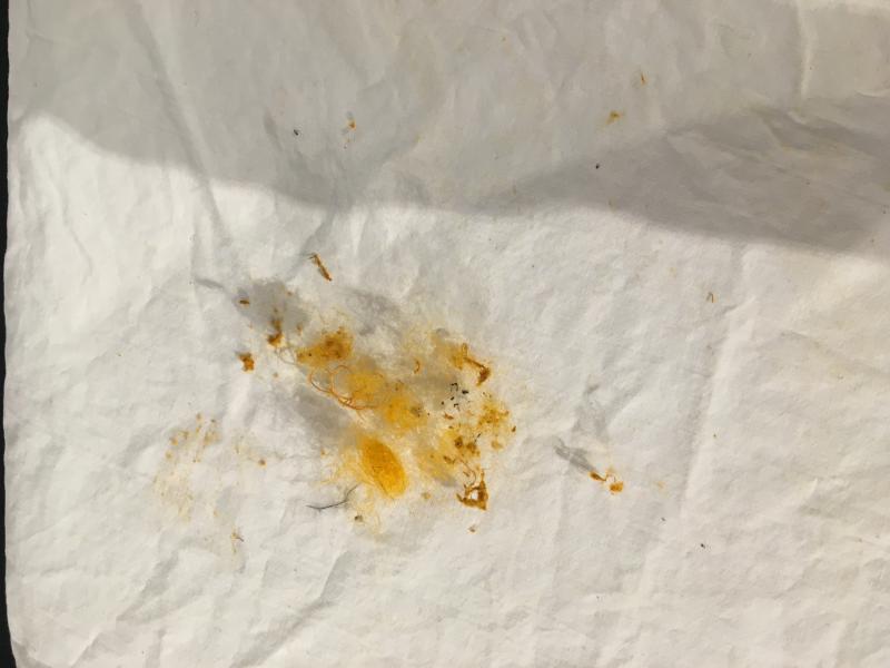 Loose fibers collected from cleaning